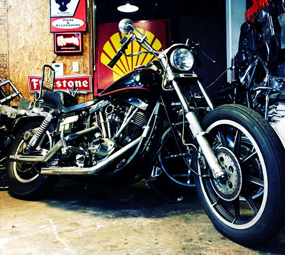 '81fxs